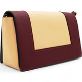 CELINE Shiny Smooth Calfskin Frame Shoulder Bag Ruby Nude 