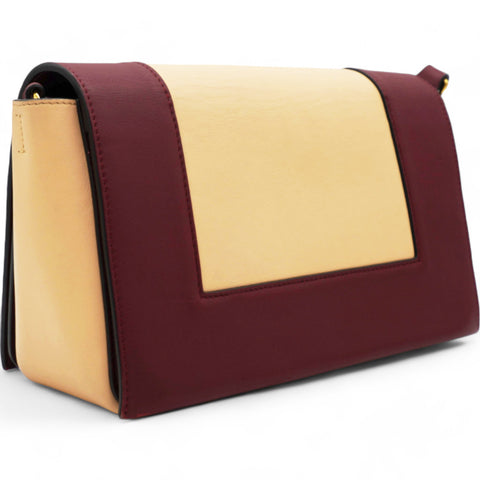 CELINE Shiny Smooth Calfskin Frame Shoulder Bag Ruby Nude 