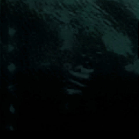  Celine Spazzolato Calfskin Classic Box Medium Flap Bag Dark Green 