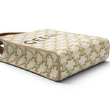 Celine Triomphe Canvas Calfskin Mini Vertical Cabas White 