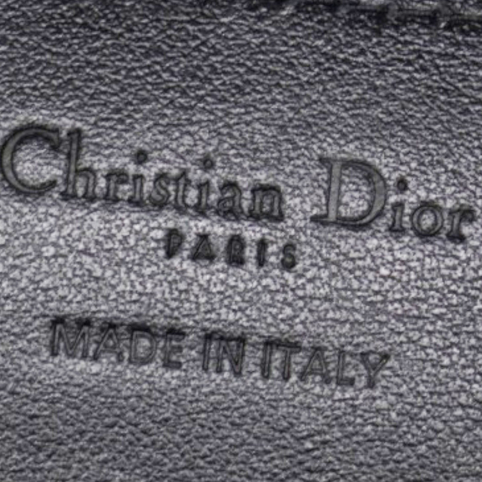 Christian Dior Oblique Diortravel Backpack Blue