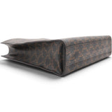 Triomphe Canvas Calfskin Small Vertical Cabas Tan