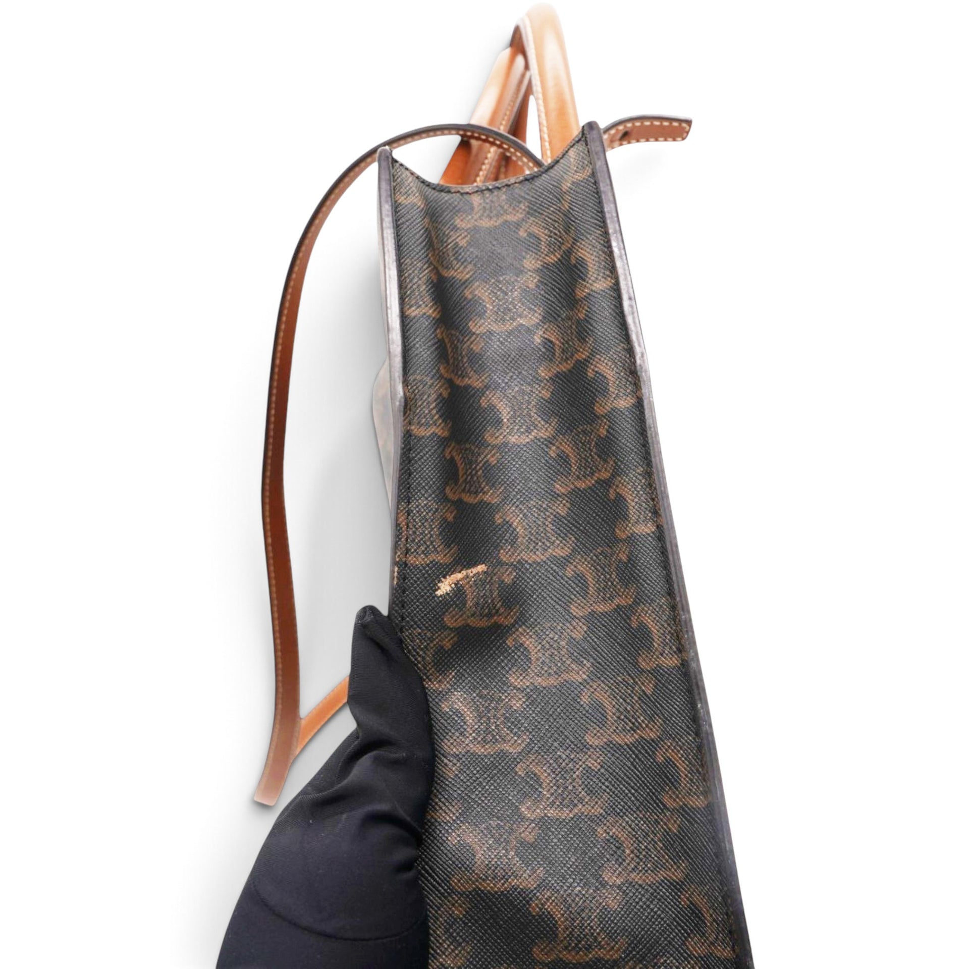 Triomphe Canvas Calfskin Small Vertical Cabas Tan