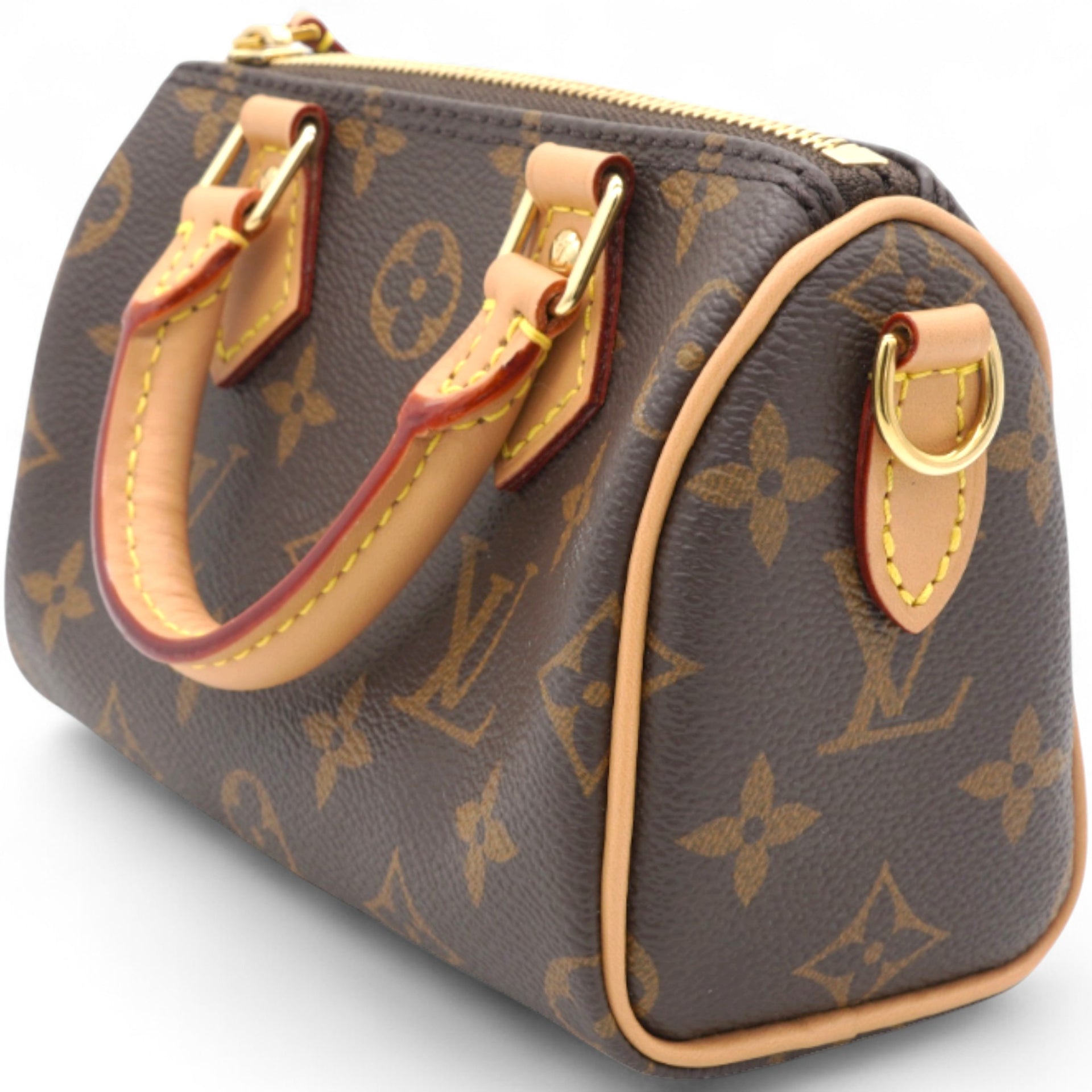 Monogram Nano Speedy