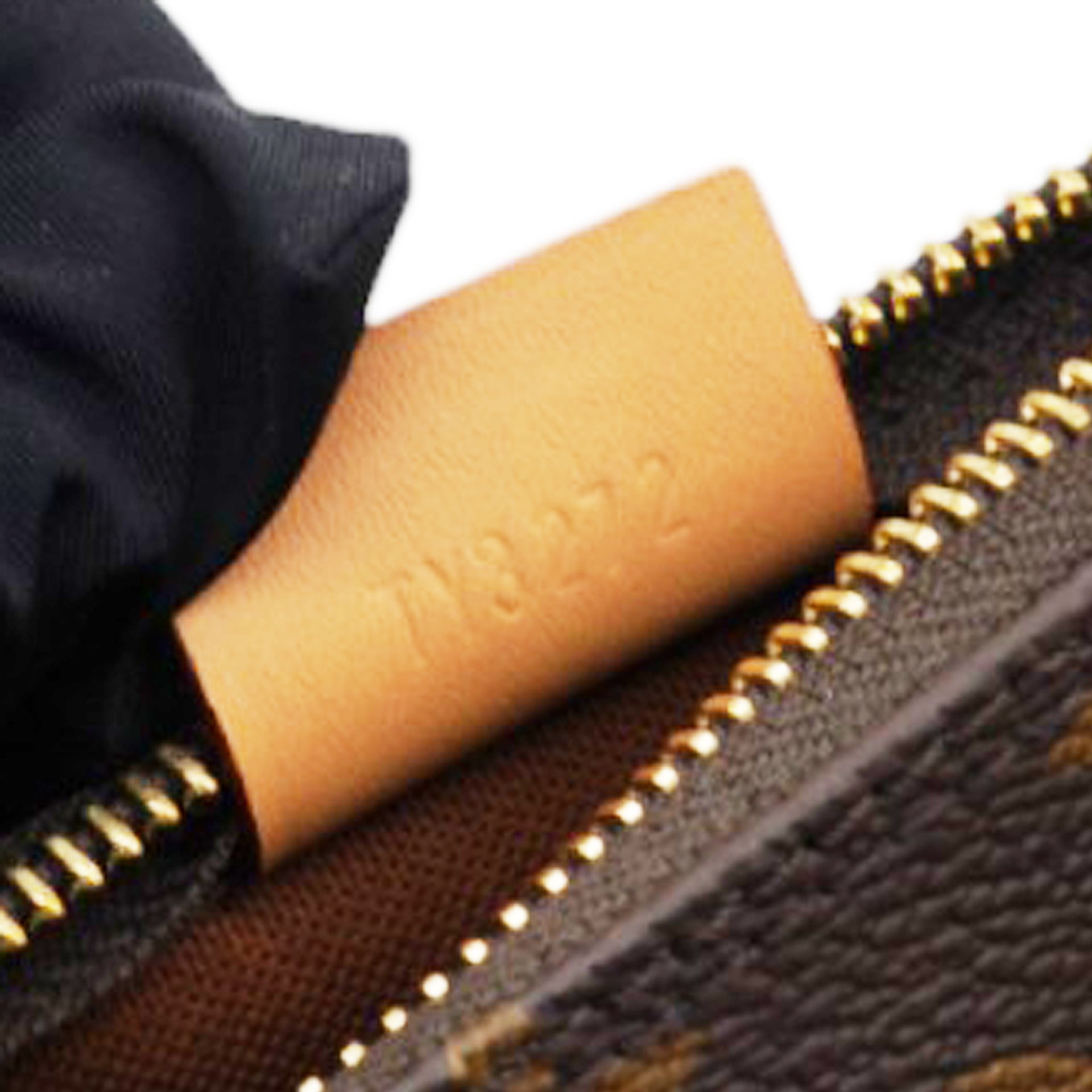 Monogram Nano Speedy