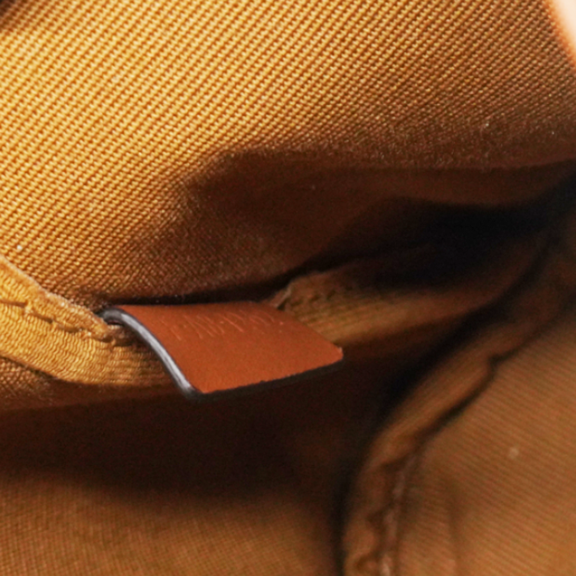 Triomphe Canvas Folco Backpack Tan