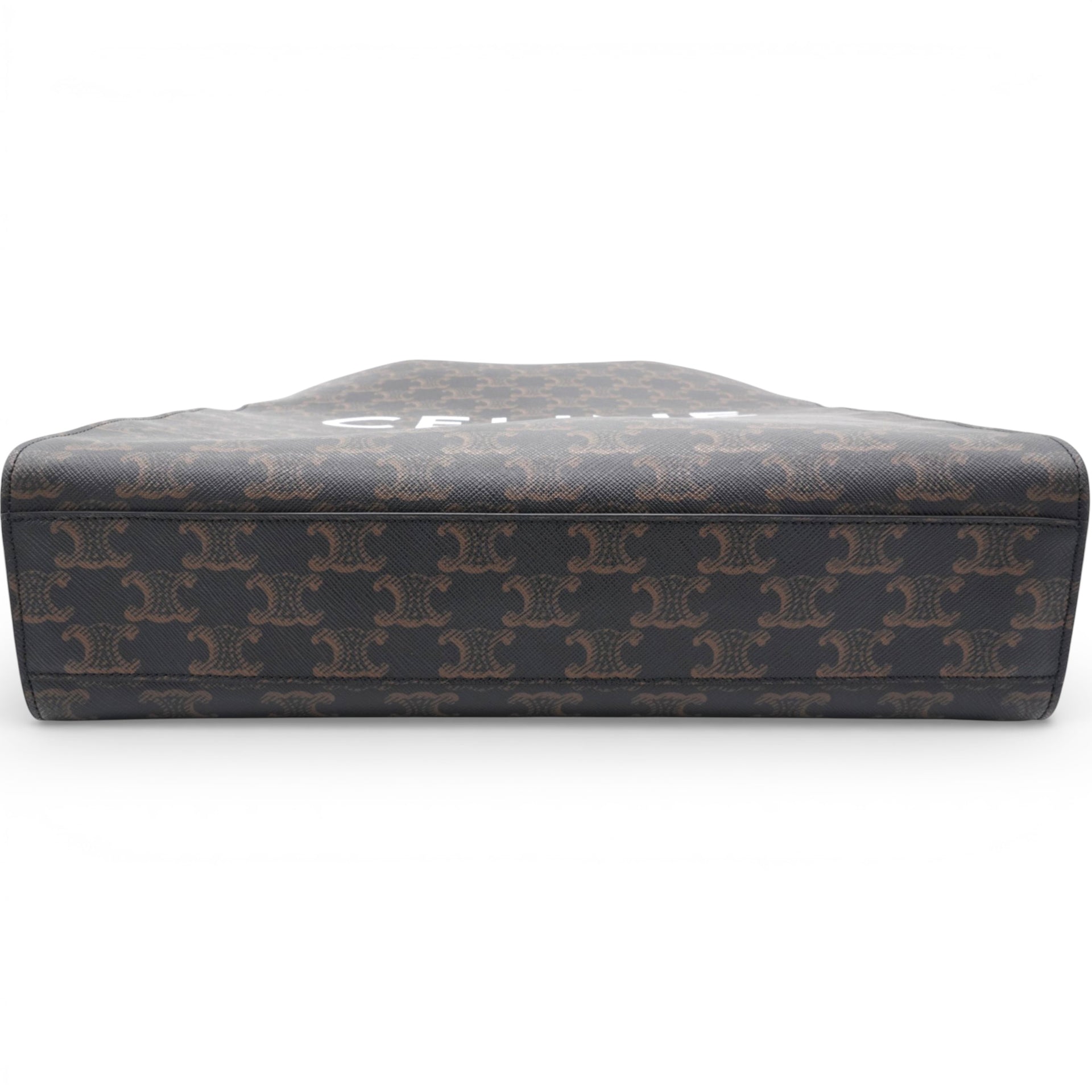 Triomphe Coated Canvas Vertical Cabas Tote