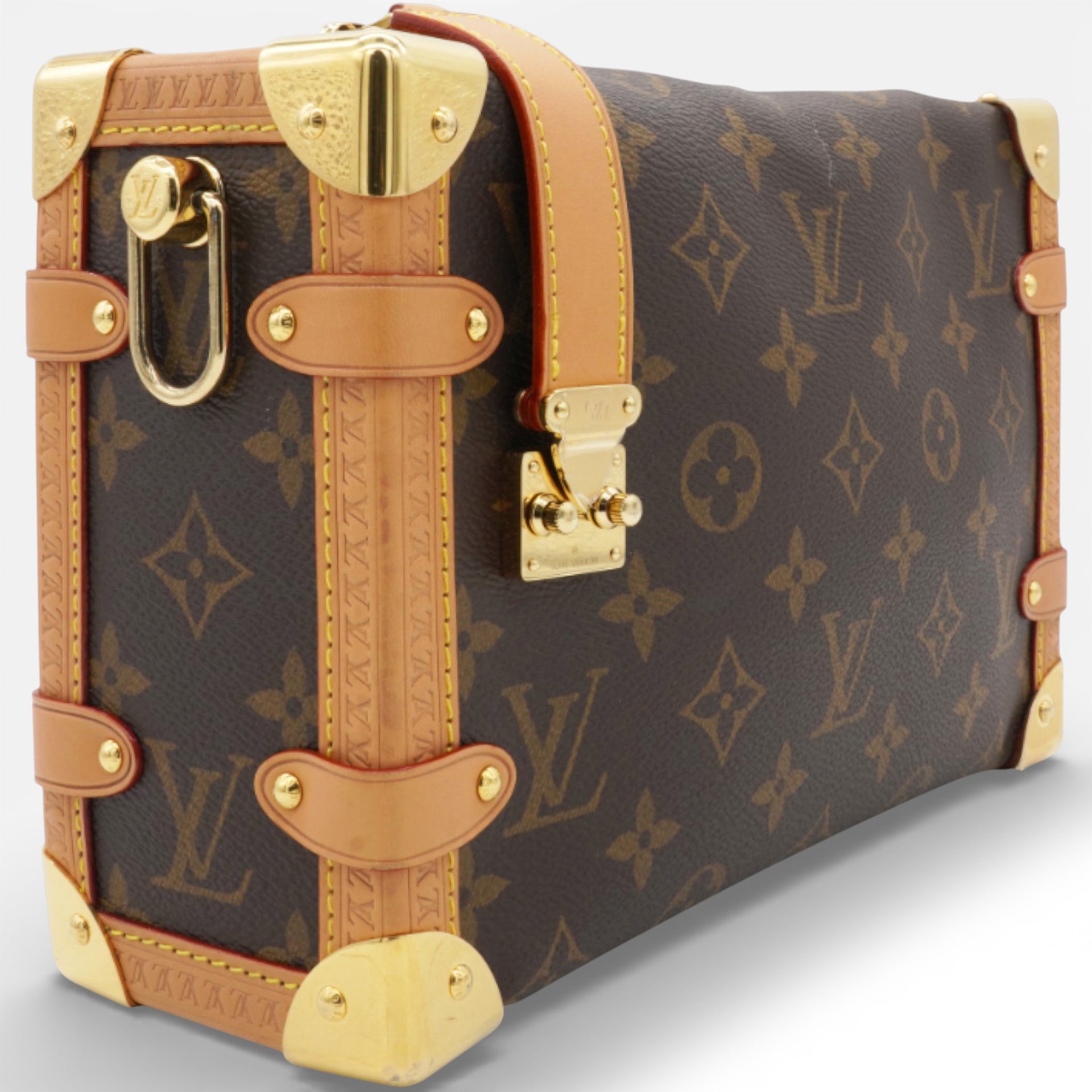 Monogram Side Trunk MM