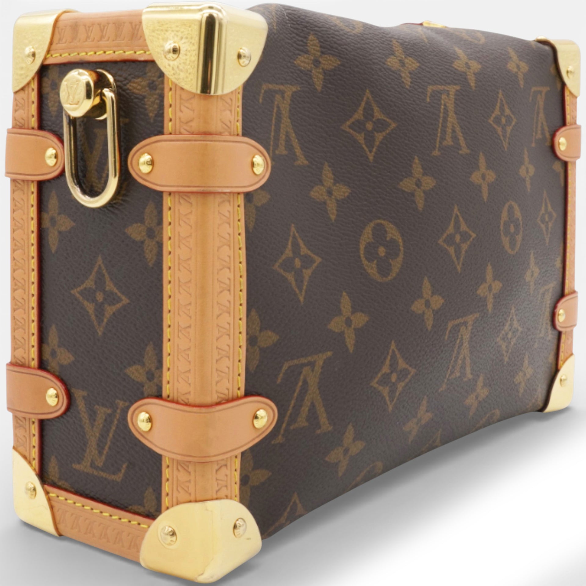 Monogram Side Trunk MM