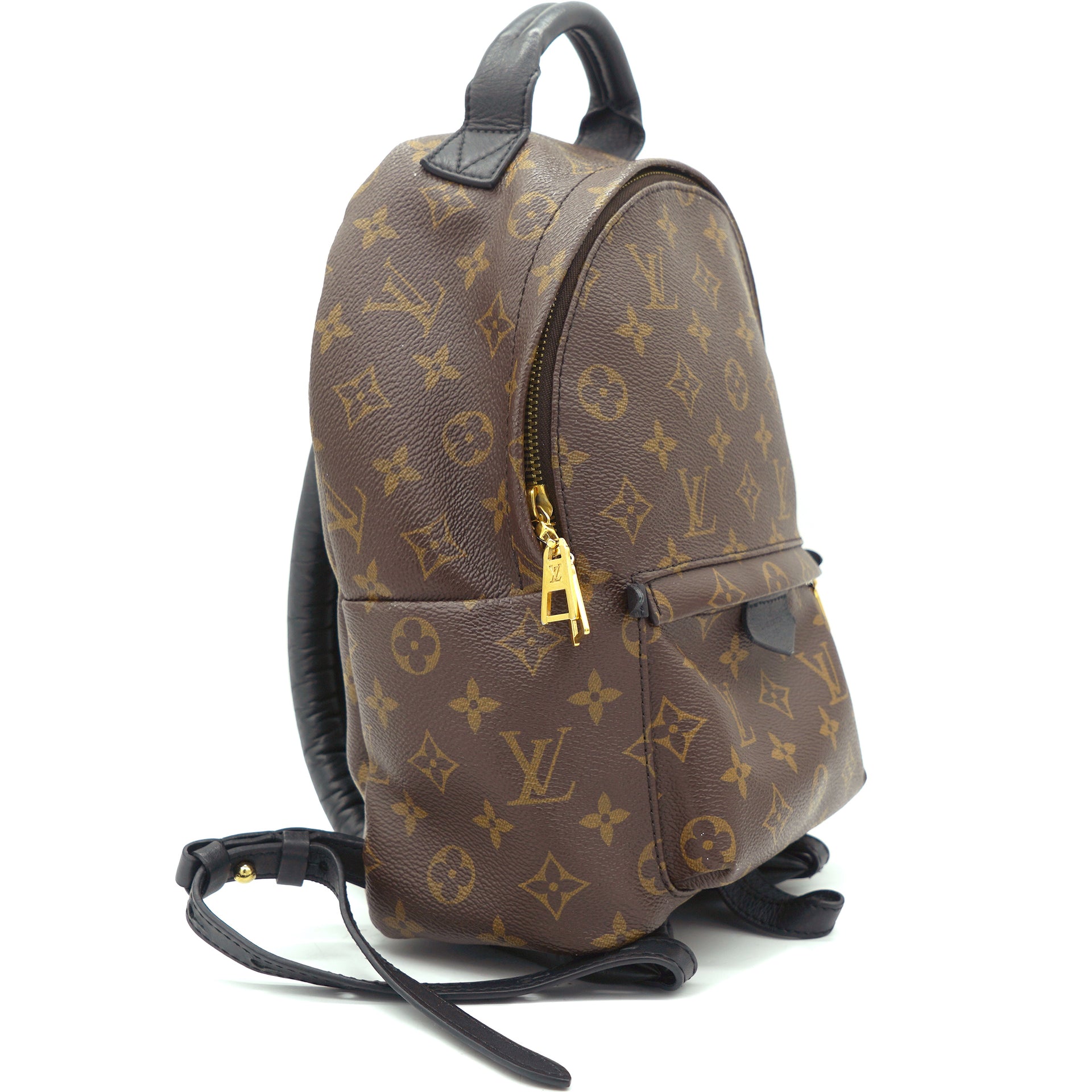 Louis Vuitton Monogram Palm Springs PM Backpack - A World Of Goods