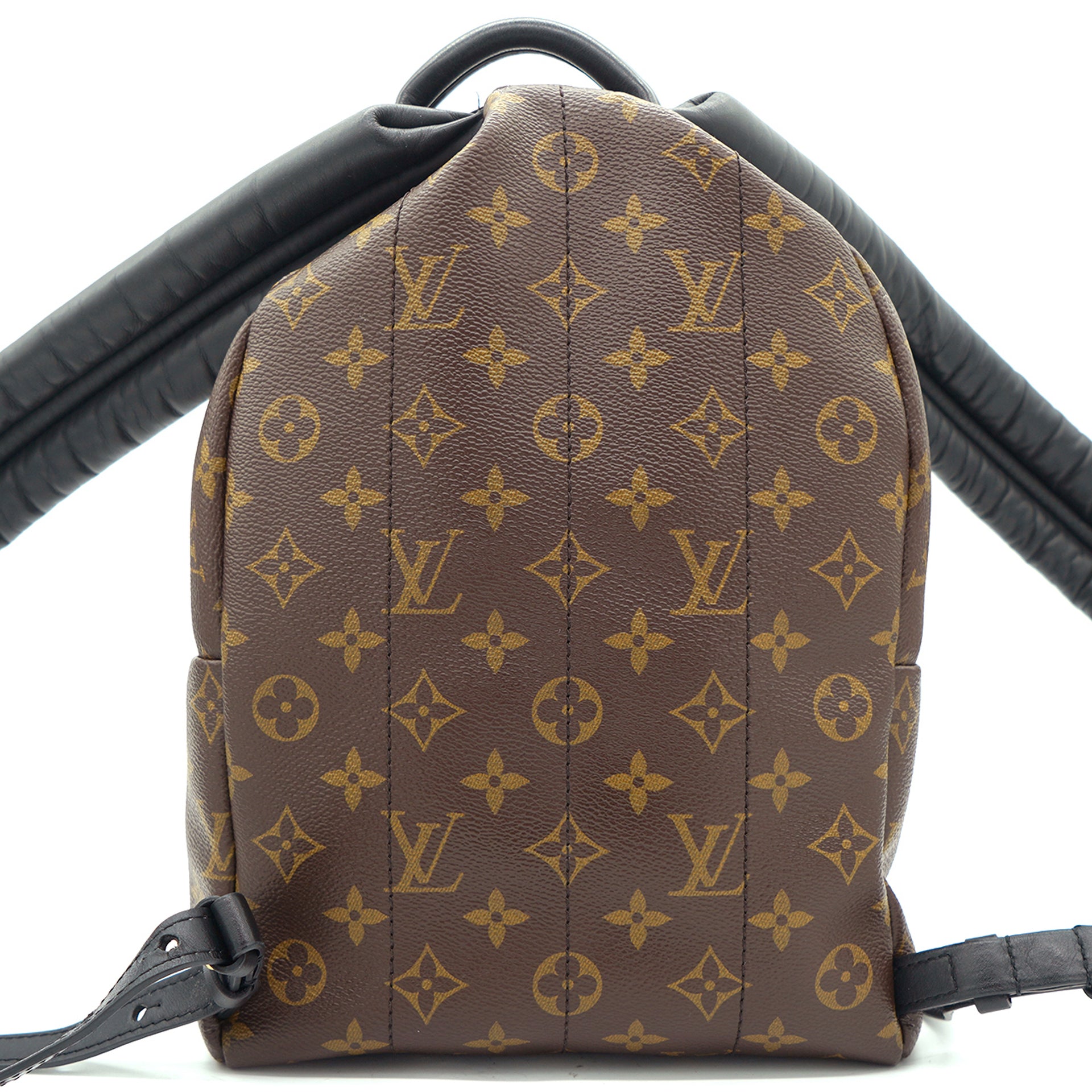 LOUIS VUITTON PALM SPRINGS BACKPACK MM REVEAL