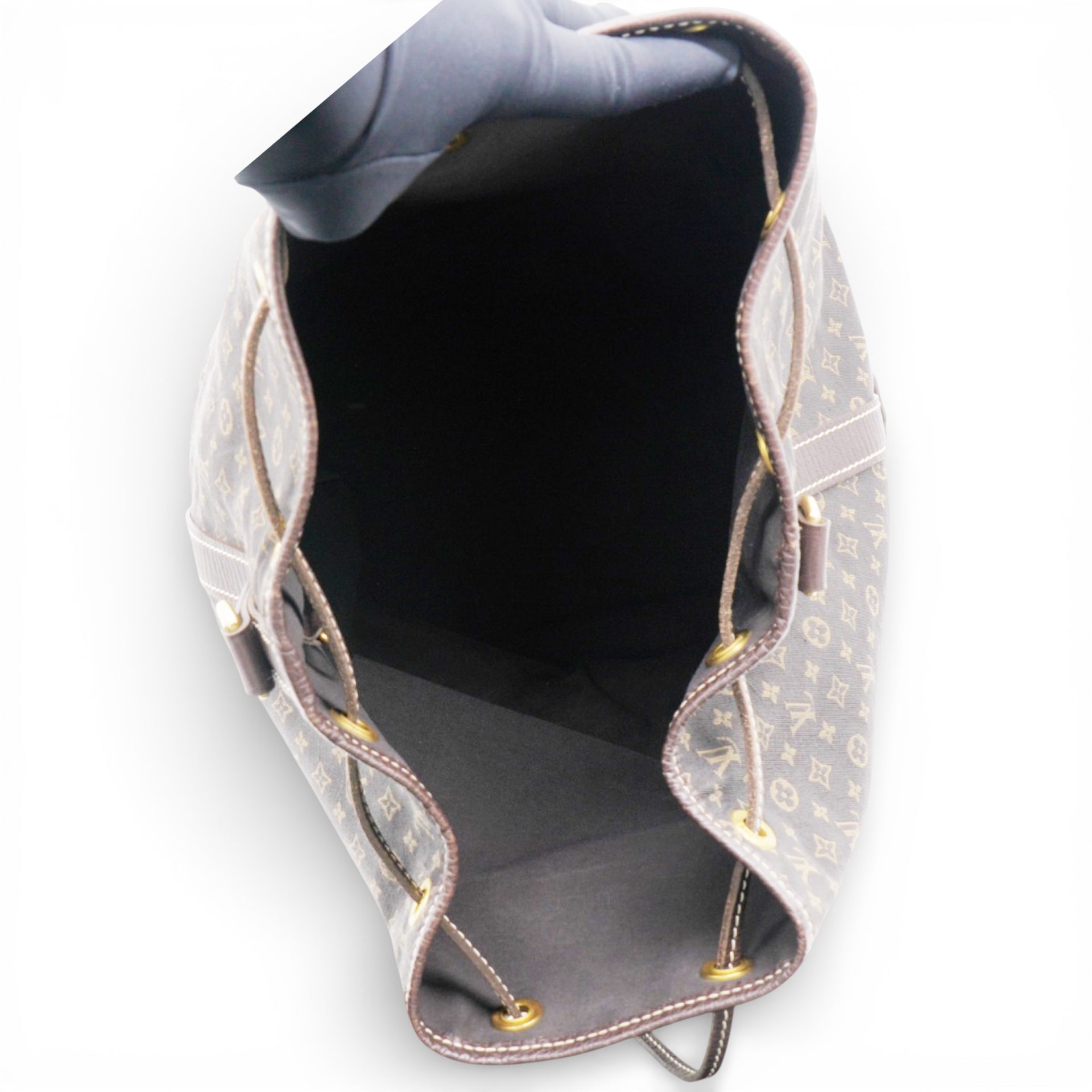 Monogram Mini Lin Noe Ebene Brown