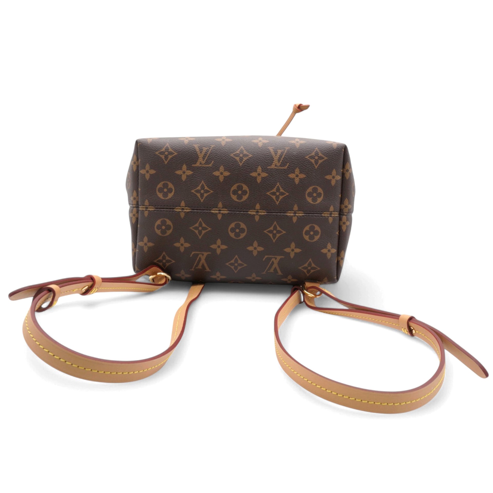 Louis Vuitton Monogram Montsouris PM Backpack 