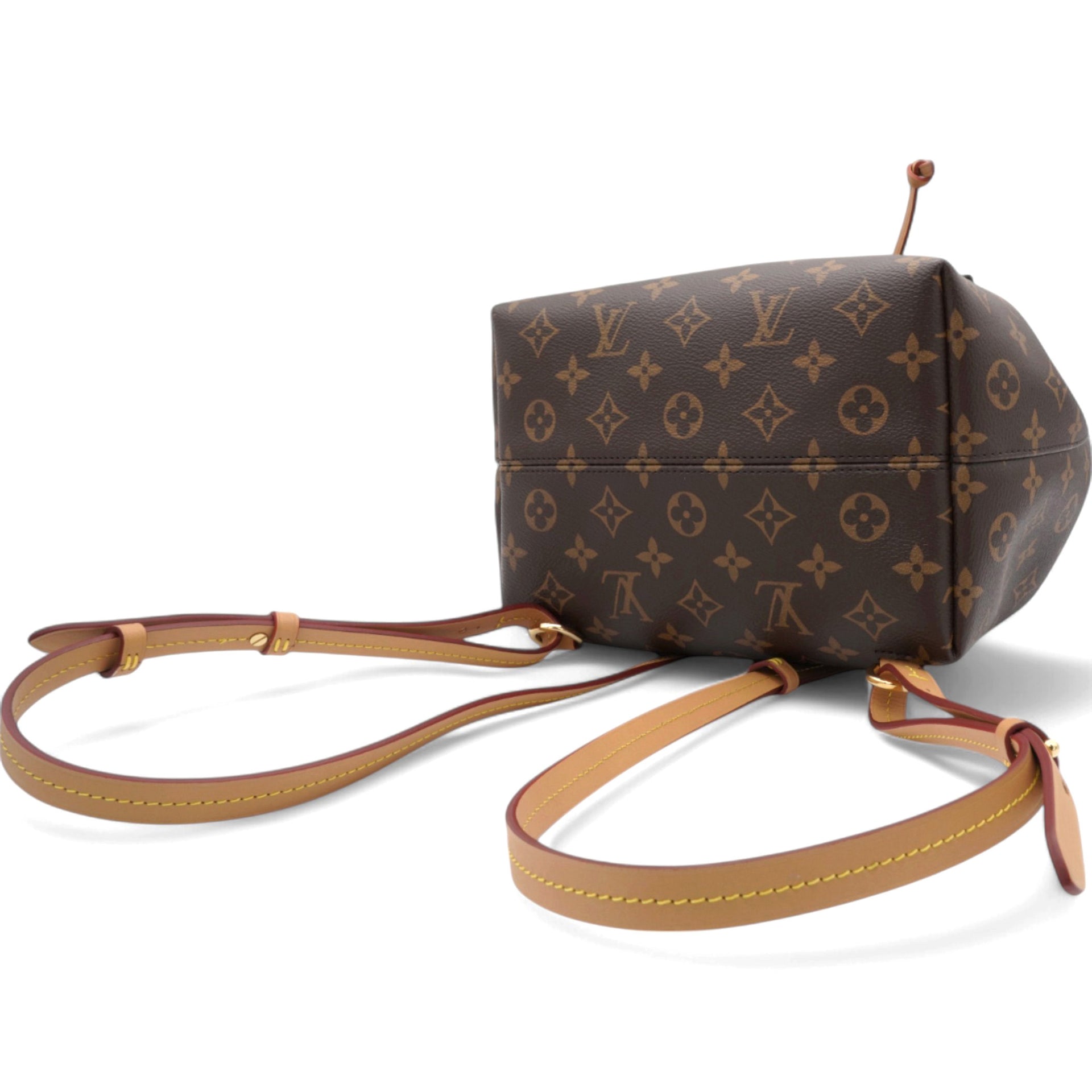 Louis Vuitton Monogram Montsouris PM Backpack 