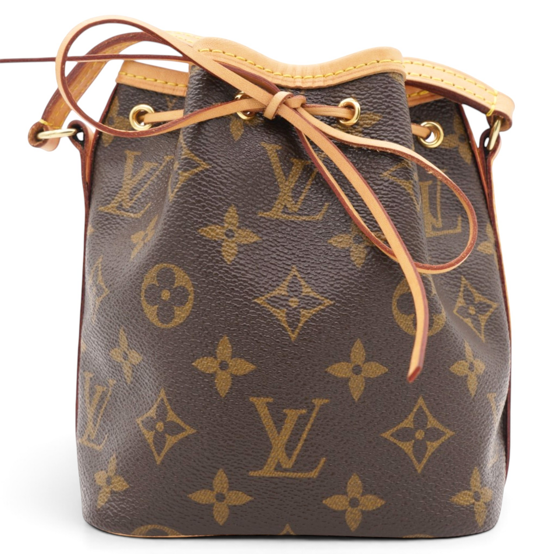 Louis Vuitton Monogram Nano Noe Brown 