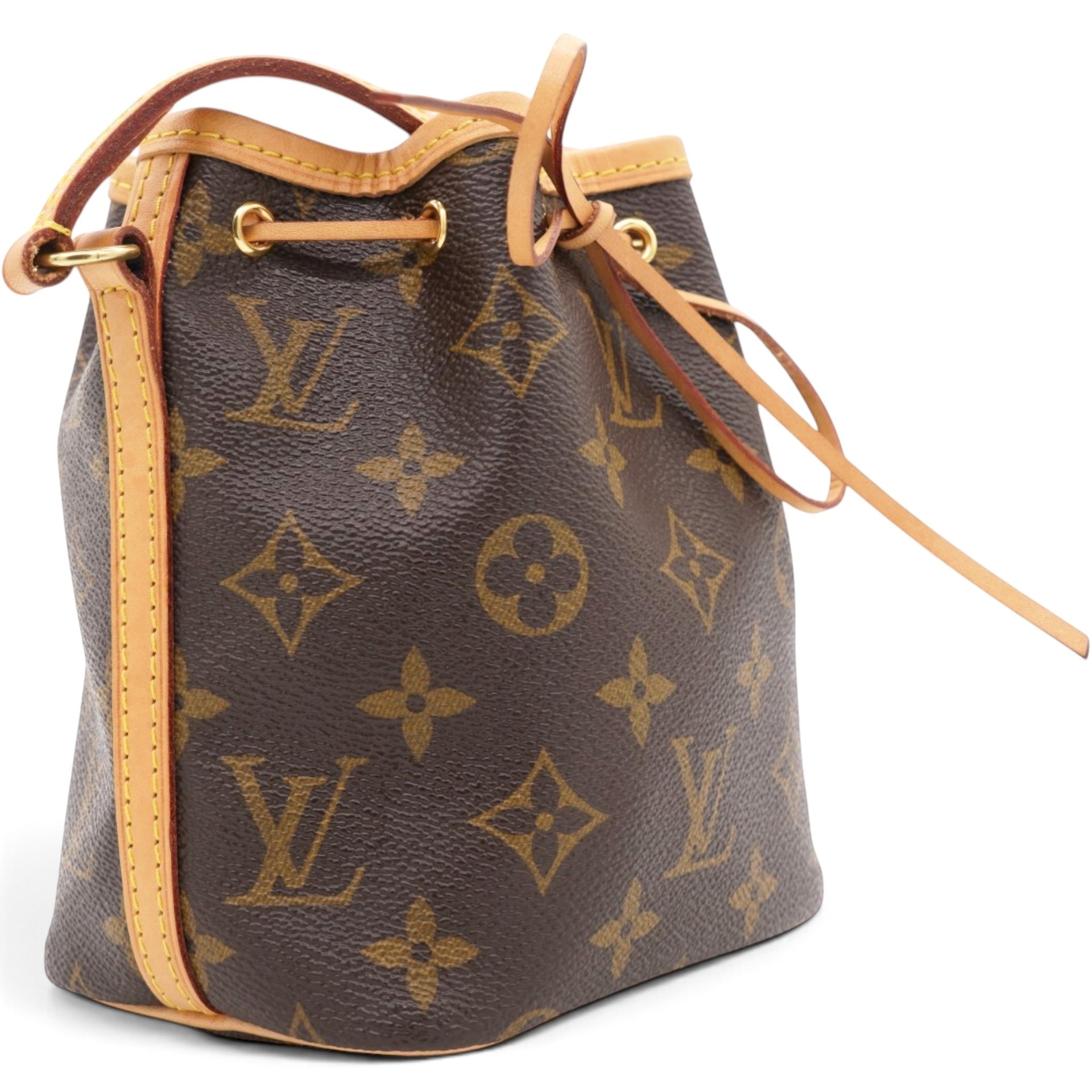 Louis Vuitton Monogram Nano Noe Brown 