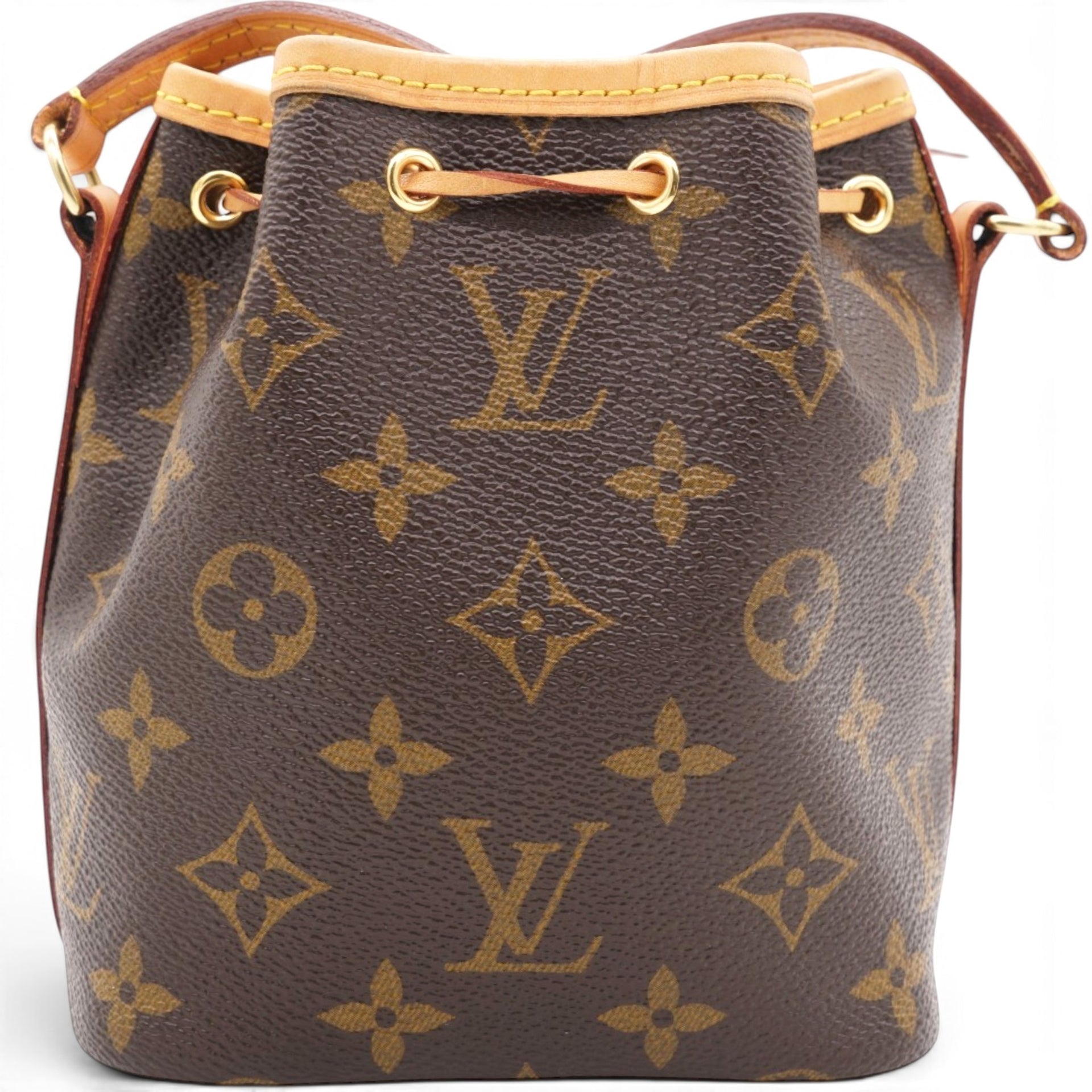 Louis Vuitton Monogram Nano Noe Brown 