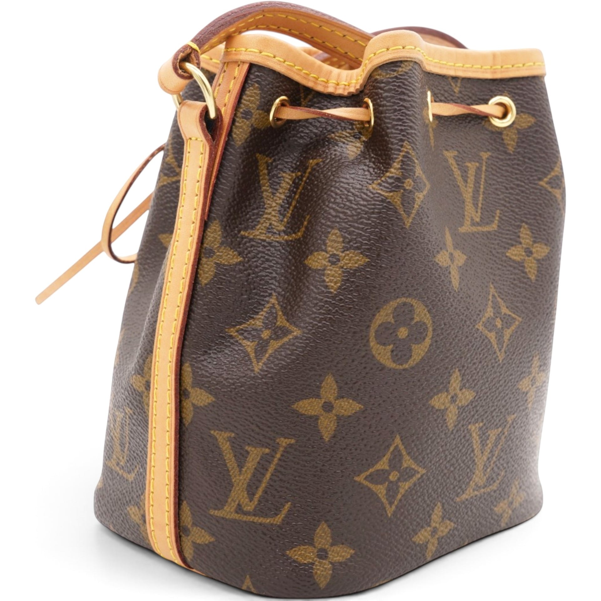 Louis Vuitton Monogram Nano Noe Brown 