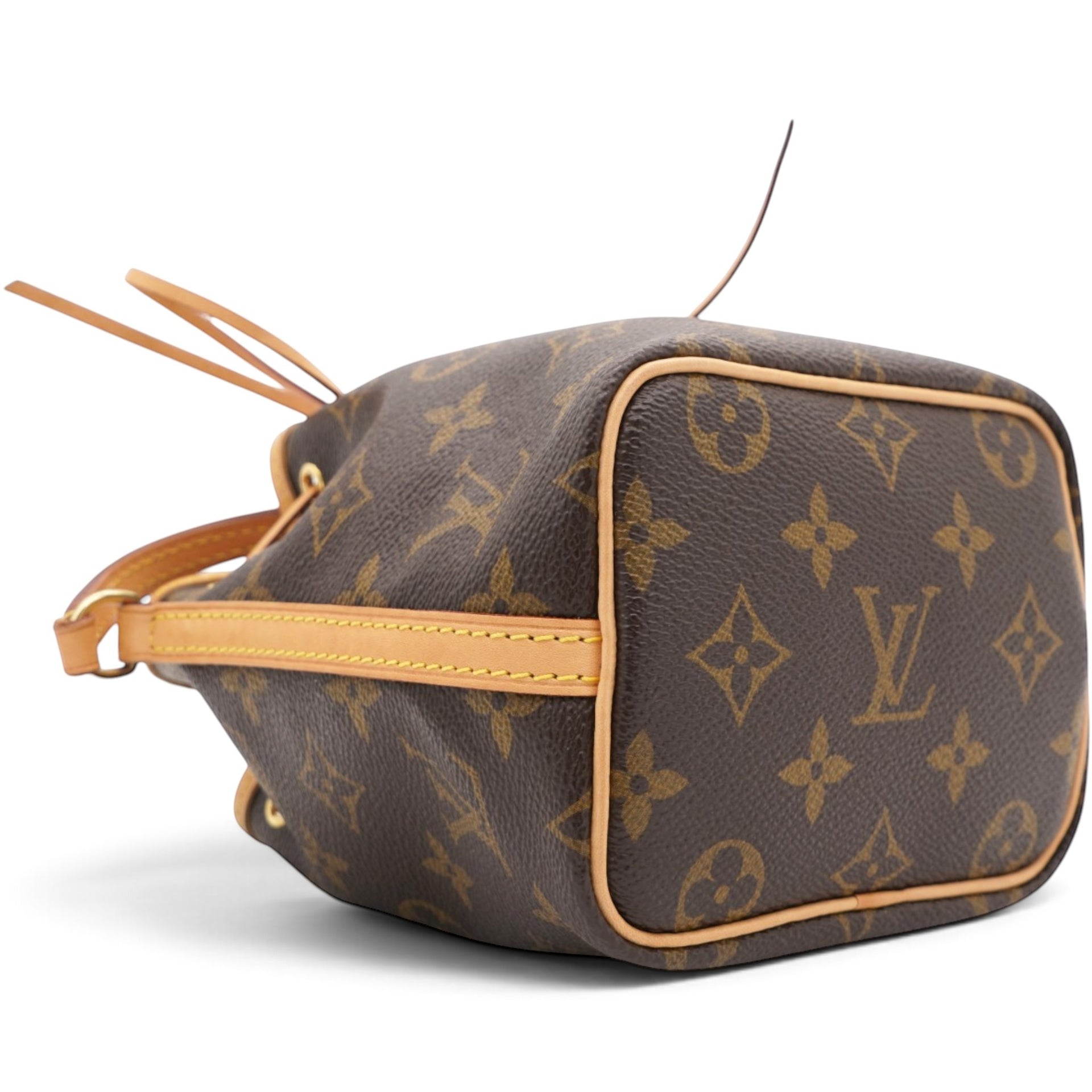 Louis Vuitton Monogram Nano Noe Brown 