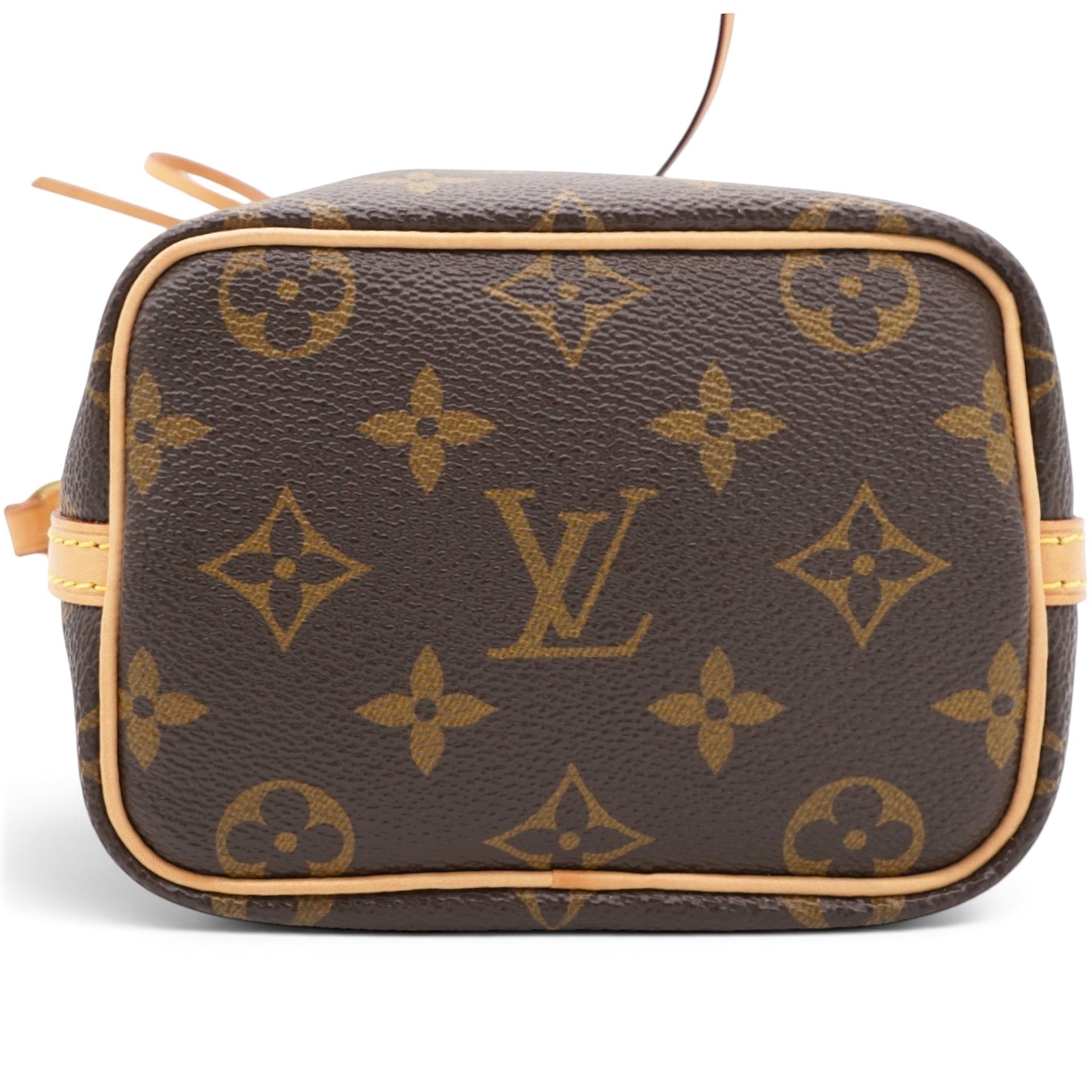 Louis Vuitton Monogram Nano Noe Brown 