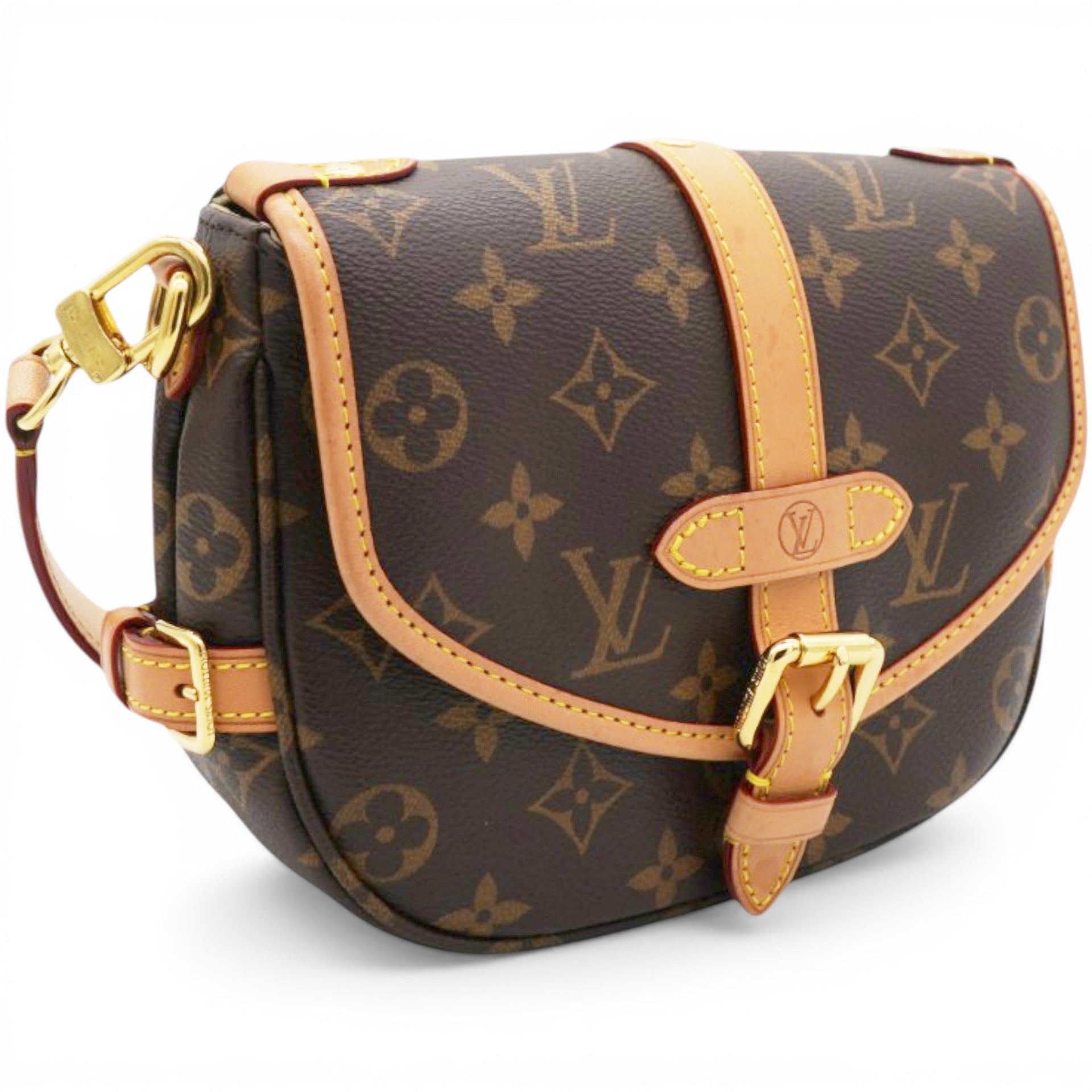 Louis Vuitton Monogram Saumur BB Brown 