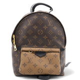 Louis Vuitton Reverse Monogram Palm Springs Backpack PM 