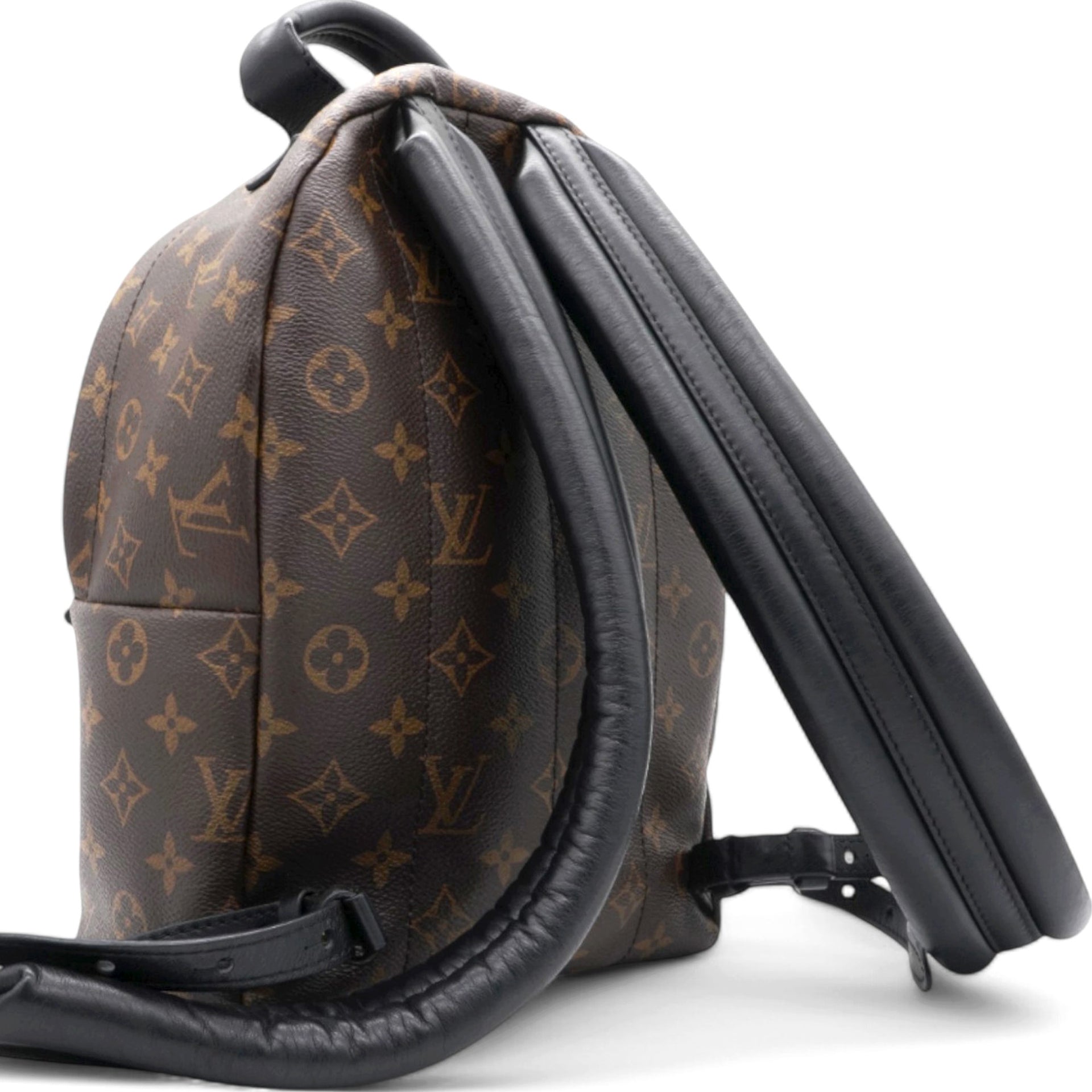 Louis Vuitton Reverse Monogram Palm Springs Backpack PM 