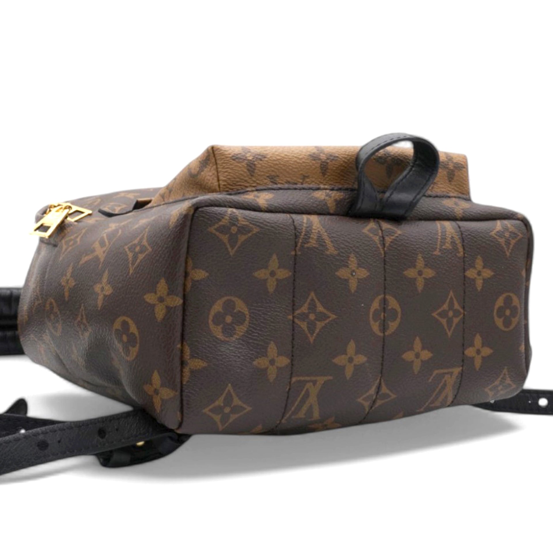Louis Vuitton Reverse Monogram Palm Springs Backpack PM 