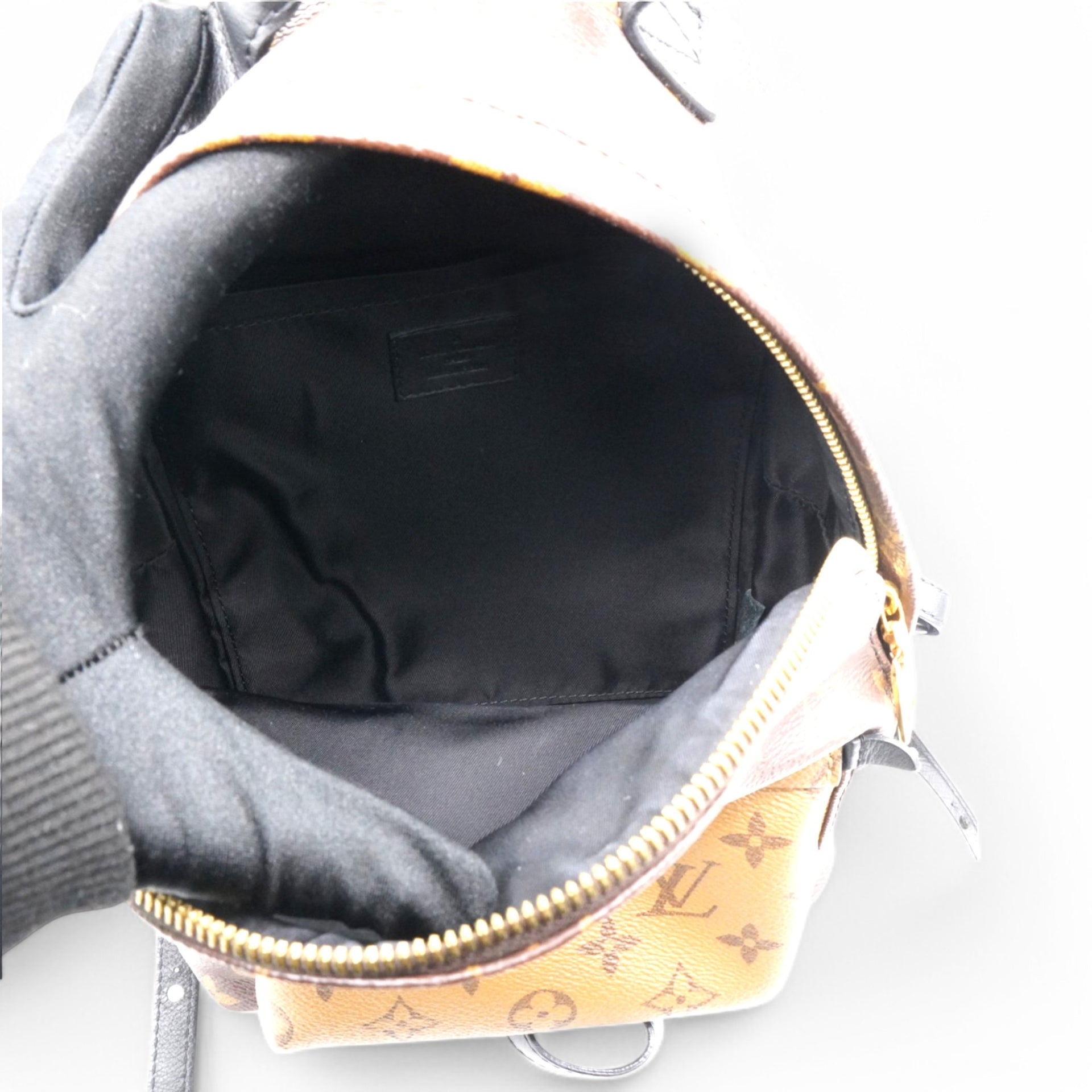 Louis Vuitton Reverse Monogram Palm Springs Backpack PM 