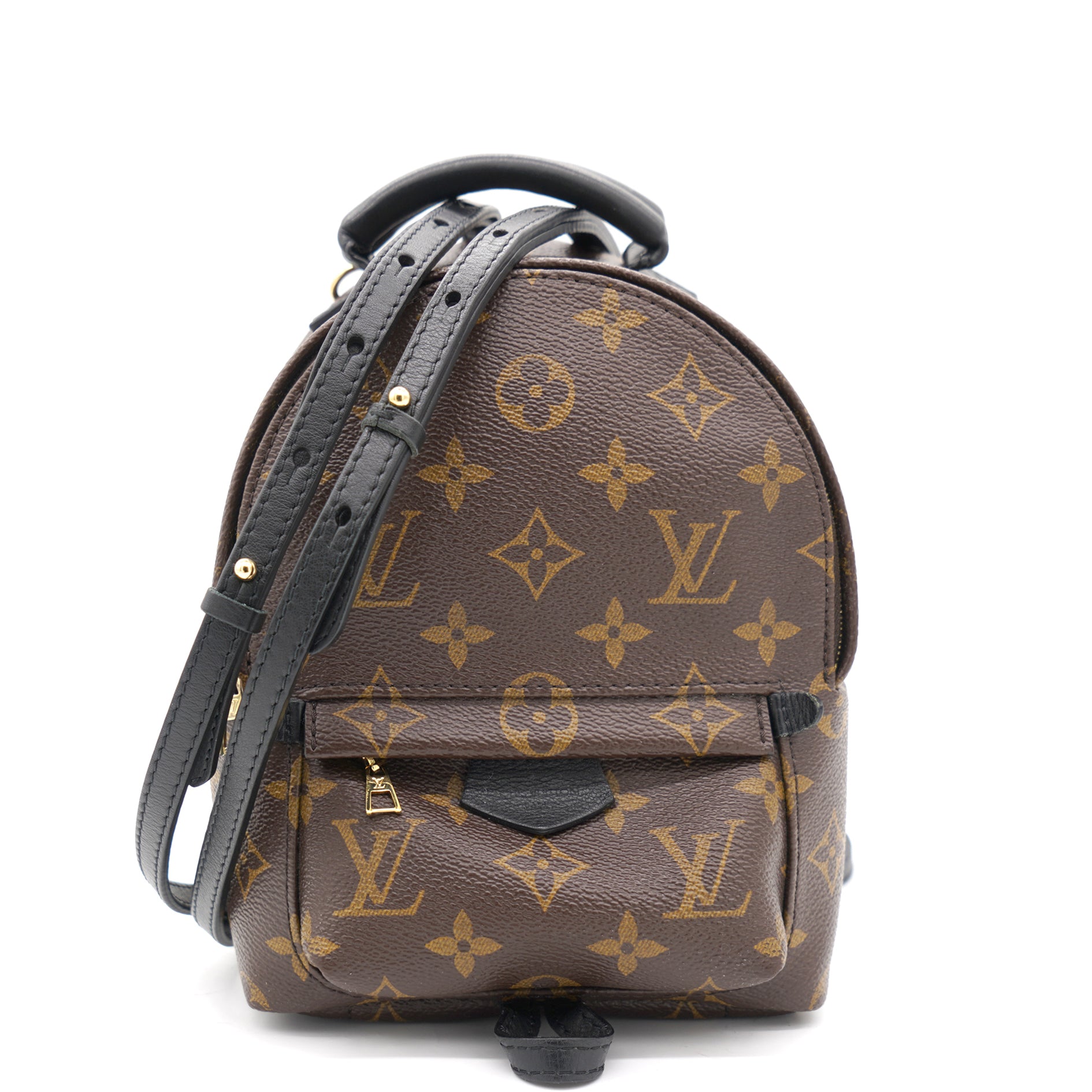 Louis Vuitton Palm Springs Mini Backpack Monogram My LV World Tour