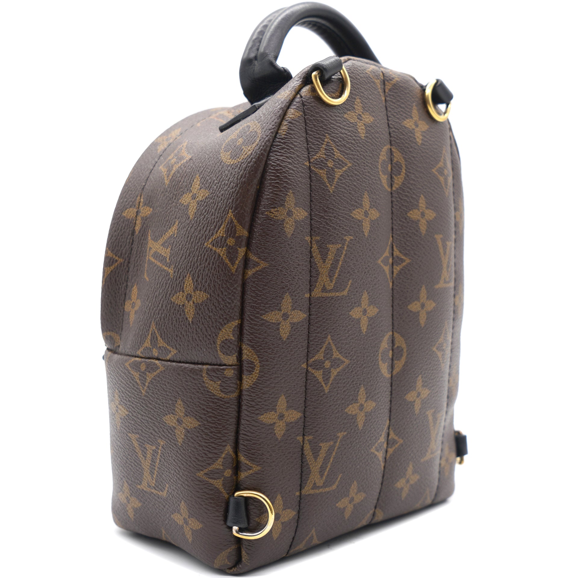 Louis Vuitton Palm Springs Mini Backpack Brown Canvas *New with
