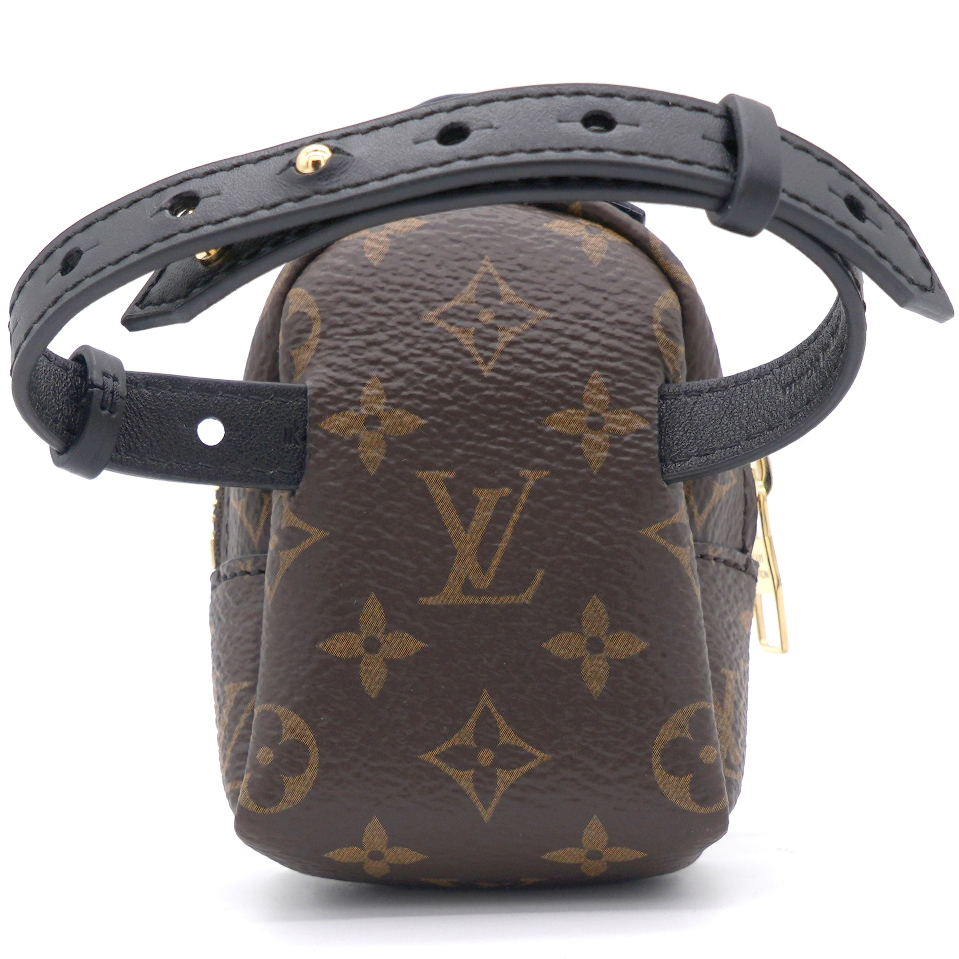 Louis Vuitton Limited Edition Monogram Canvas Bum Bag Party Bracelet |  Yoogi's Closet