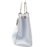 Calfskin Medium Diorissimo Bag Pearly Grey