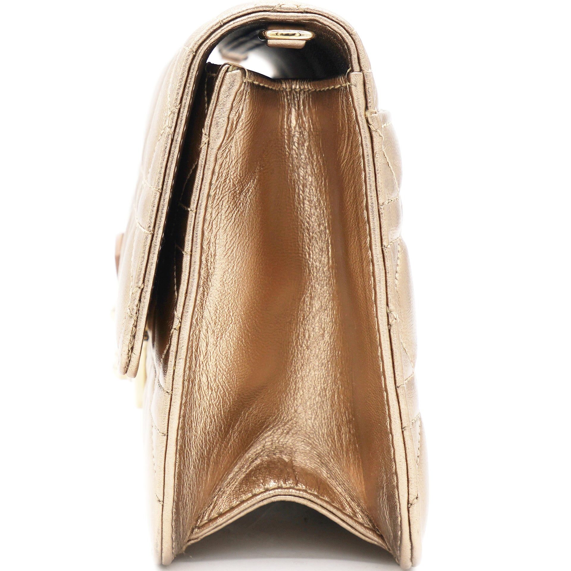 Metallic Miss Dior Crossbody Bag