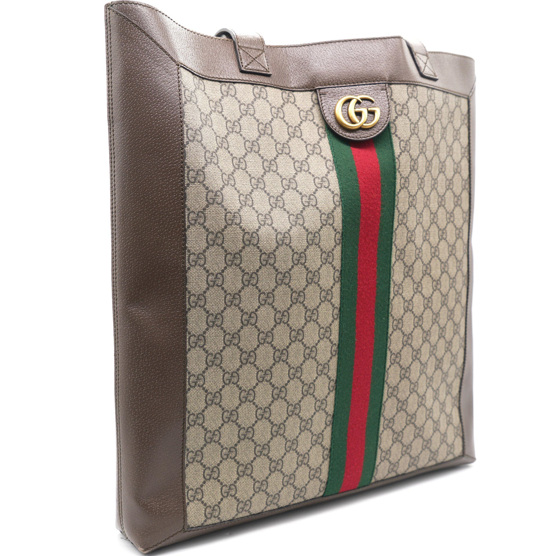 I Finally Got the Gucci Ophidia Tote! 