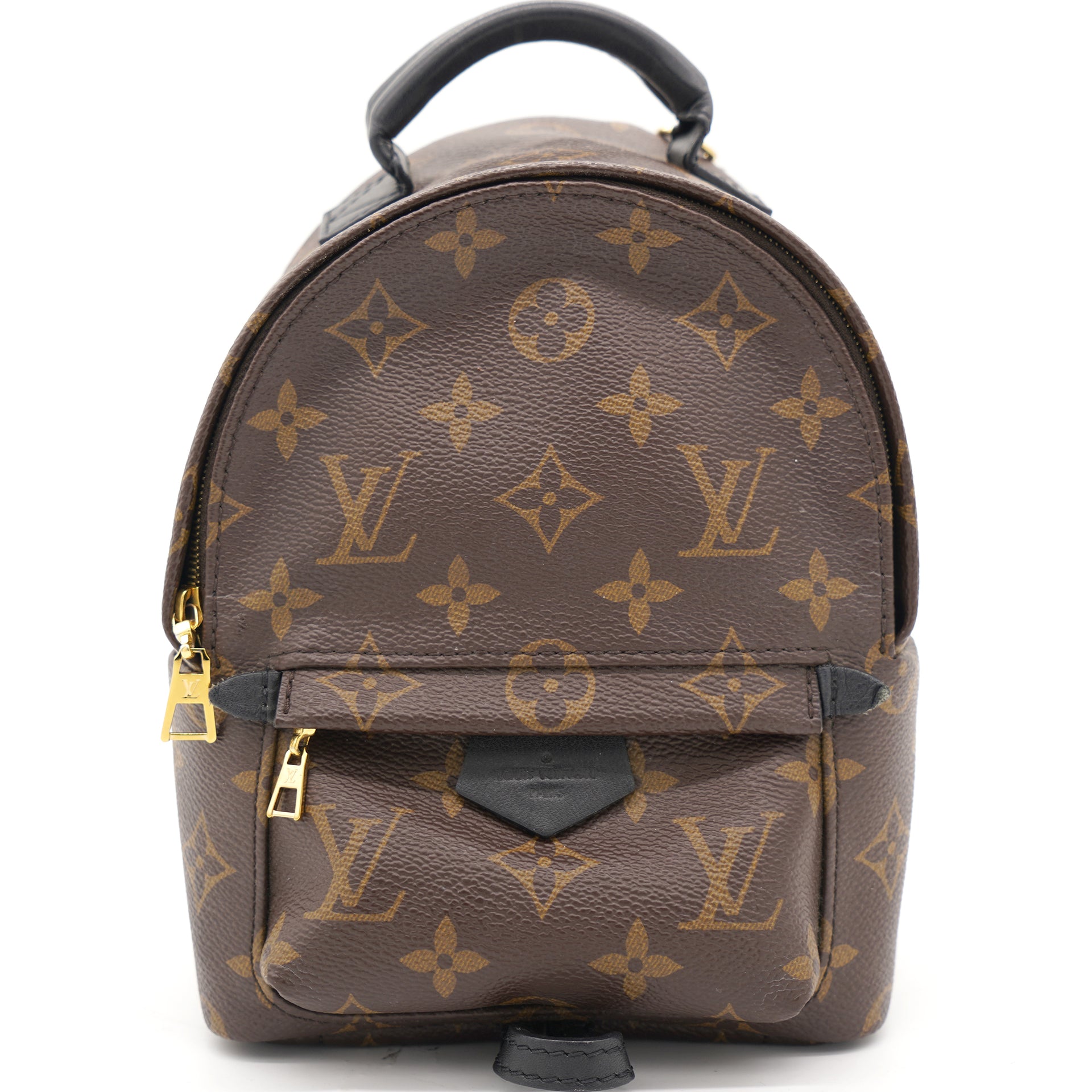 Louis Vuitton Palm Springs Monogram (Updated Zipper) MM in Coated