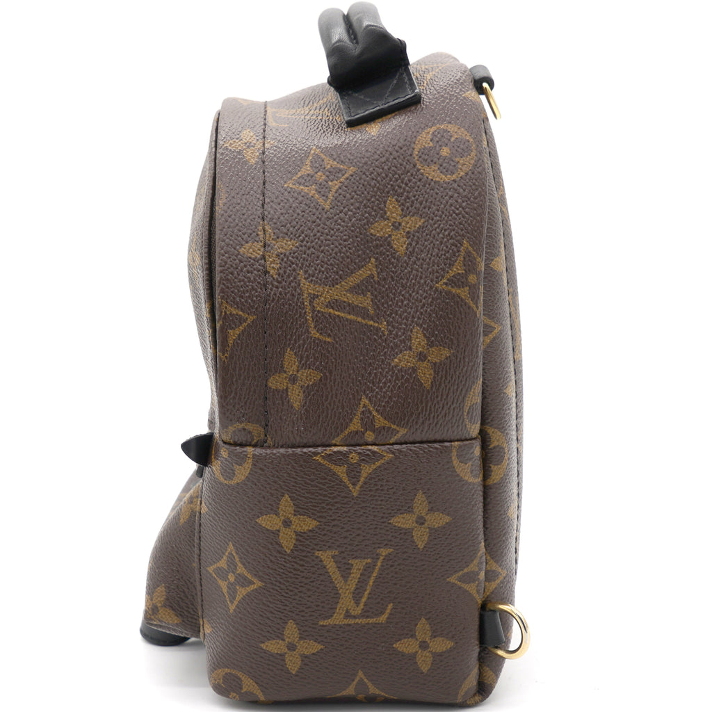 Louis Vuitton Vintage - Monogram Palm Springs MM Backpack - Brown