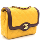 Lambskin Quilted Mademoiselle Mini Flap Bag