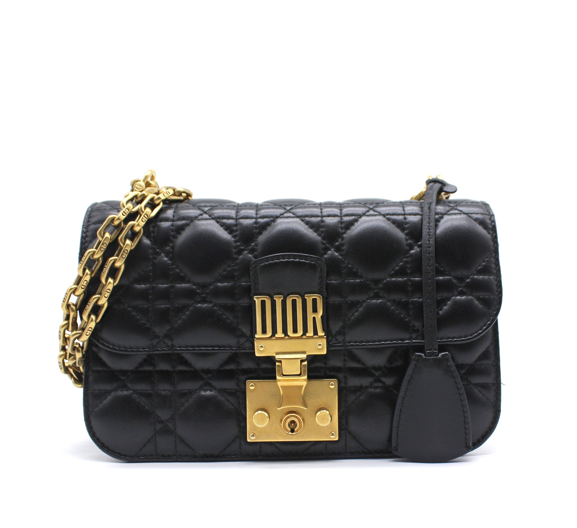 Christian Dior Dioraddcit Small Flap Bag in Black Lambskin – STYLISHTOP