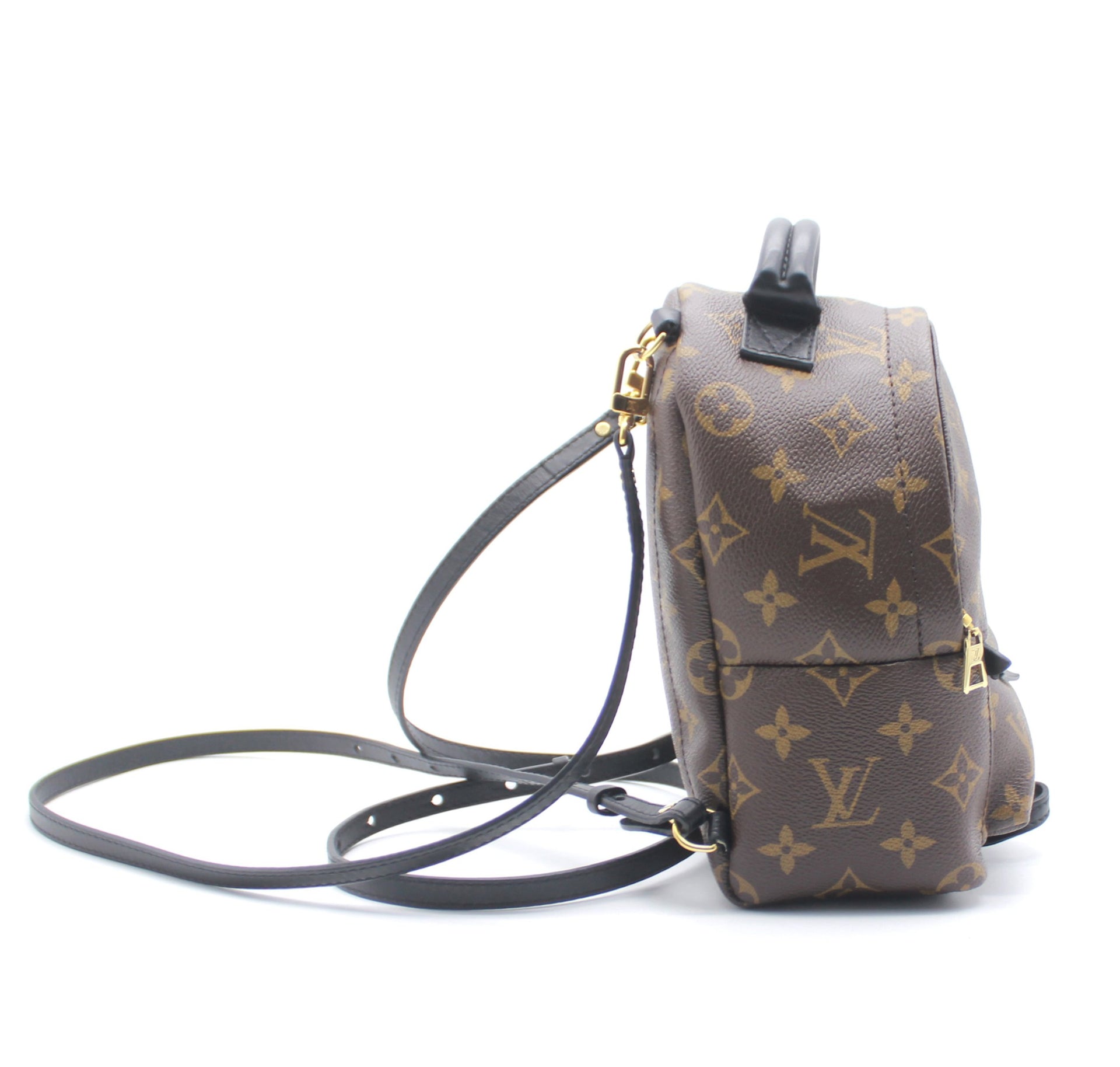 Louis Vuitton Monogram Palm Springs Mini Backpack – STYLISHTOP