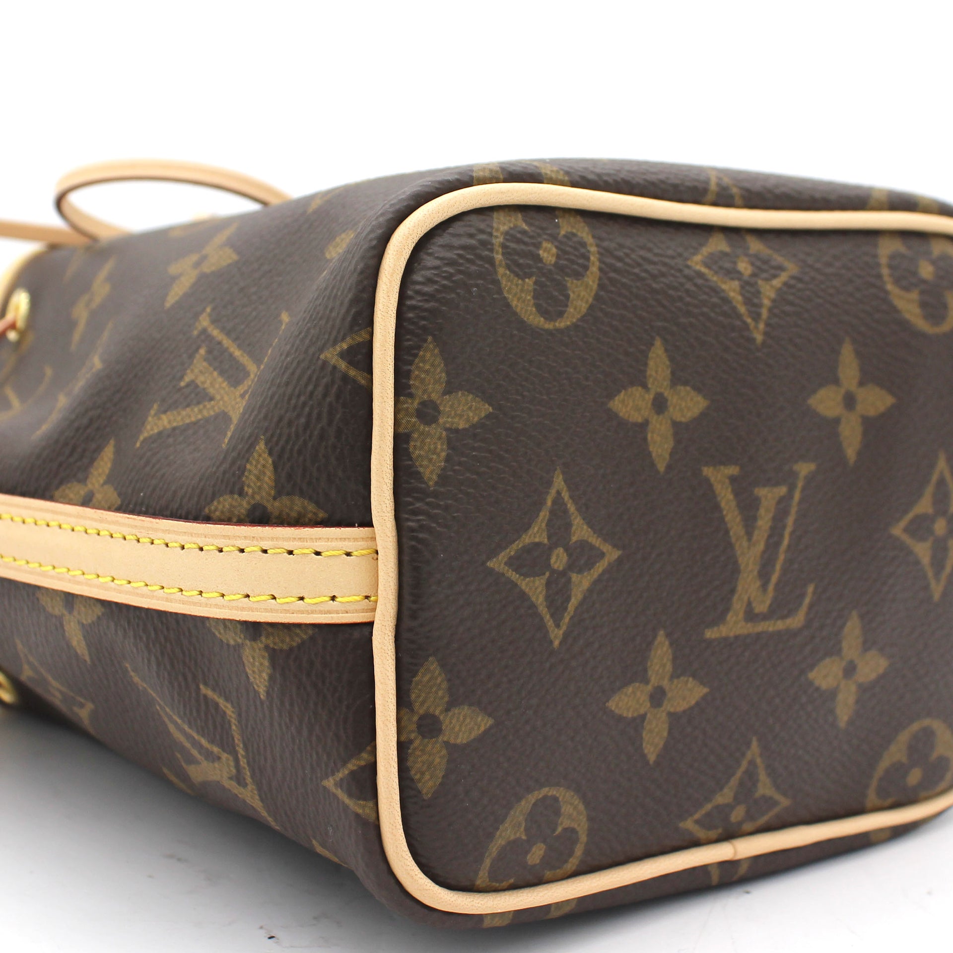 Monogram Canvas Nano Neo Bag